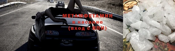 сатива Белокуриха