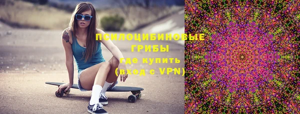 сатива Белокуриха