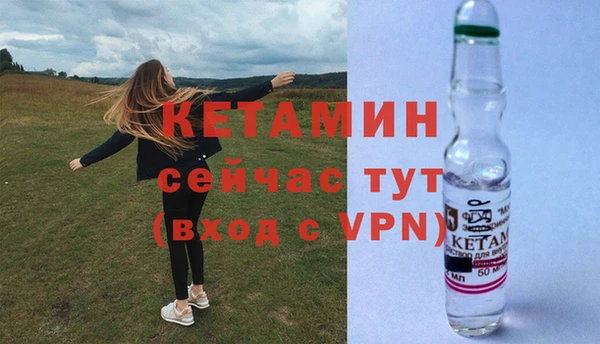 сатива Белокуриха