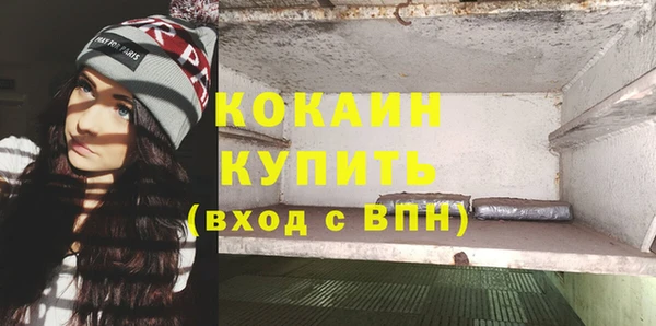 сатива Белокуриха