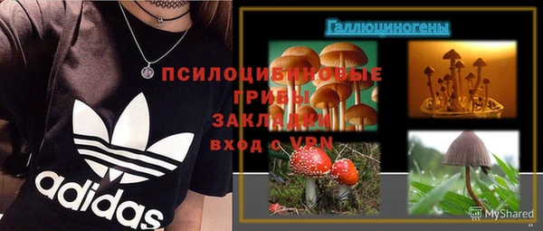 сатива Белокуриха