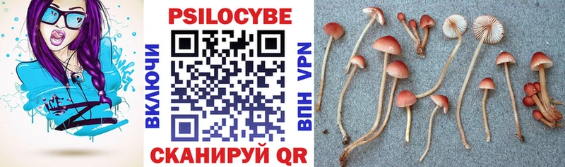Псилоцибиновые грибы прущие грибы закладки Горячий Ключ
