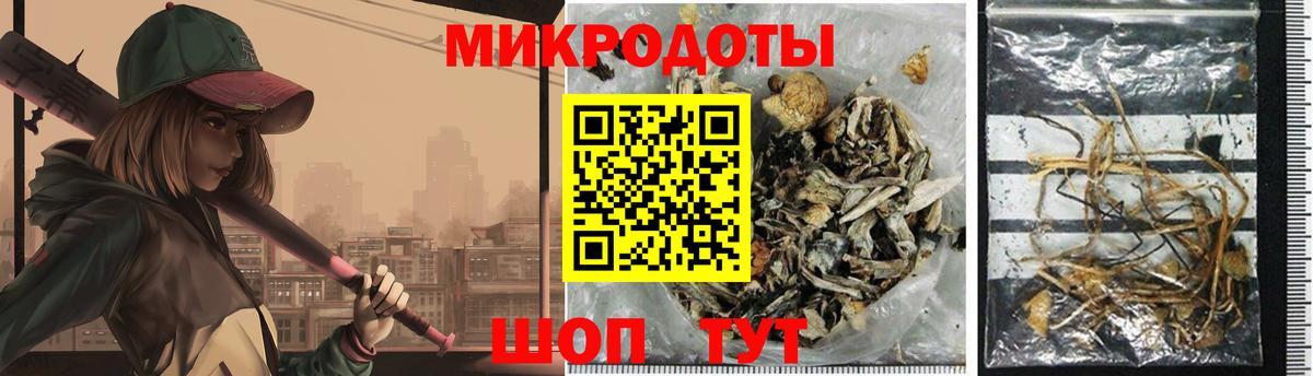 Псилоцибиновые грибы Psilocybe Горячий Ключ